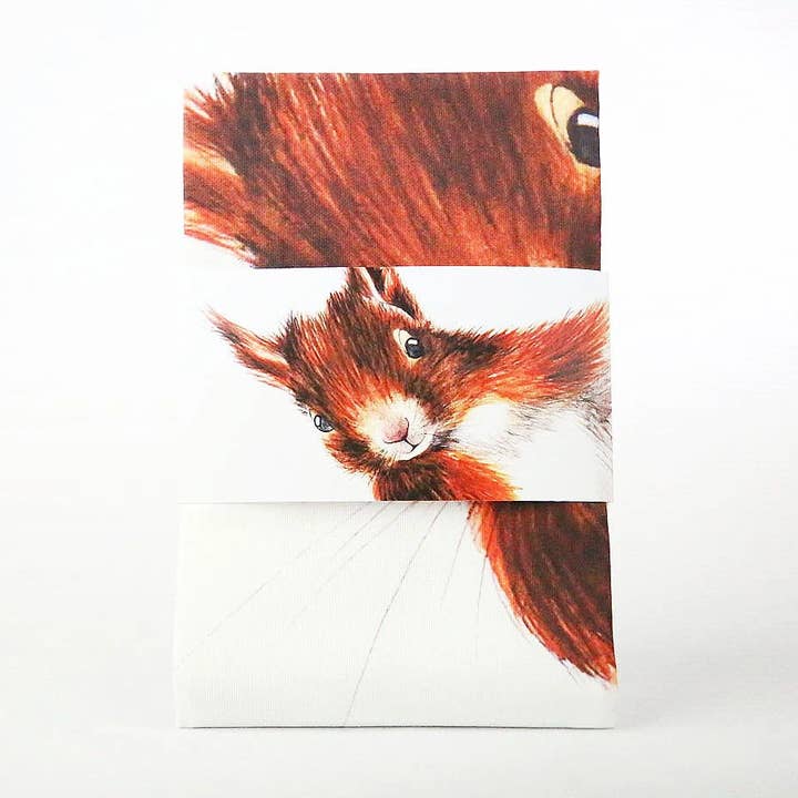 Geschirrtuch - Rotes Eichhörnchen für den Großhandel von Clare Baird