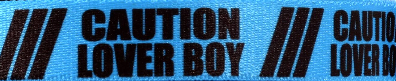 Yellow Dog Design - Wholesale Pet Collar - Dog - Blue Caution - Lover Boy Dog Collar1