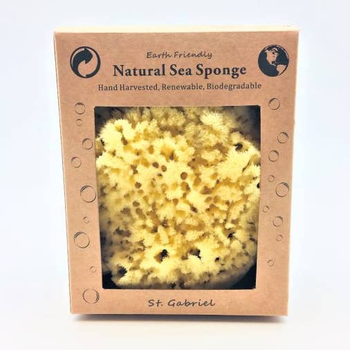 Sea Sponge in a Window Box - Yellow 4-5" for wholesale by Sponges Direct