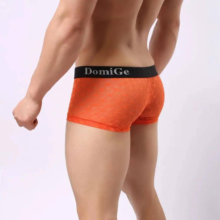 DomiGe - Wholesale Ondergoed - Heren - Trunks van mesh en doorschijnend materiaal voor heren met stijlvolle tailleband met logo, ultiem comfort en verleiding voor mannen11
