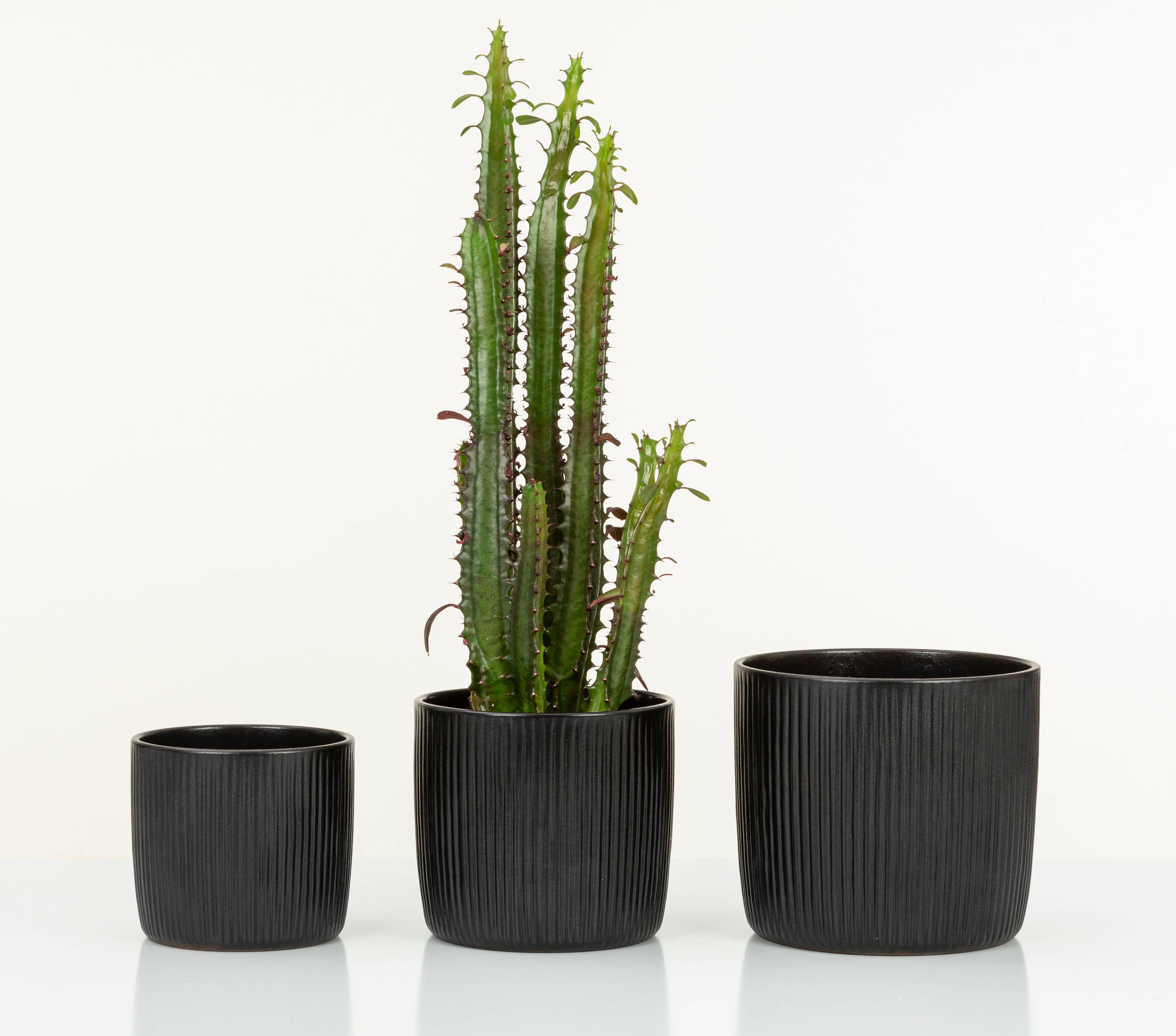 Scheurich - Wholesale Plant Pot - Set of 2 Solido Linea 909 ceramic planters2
