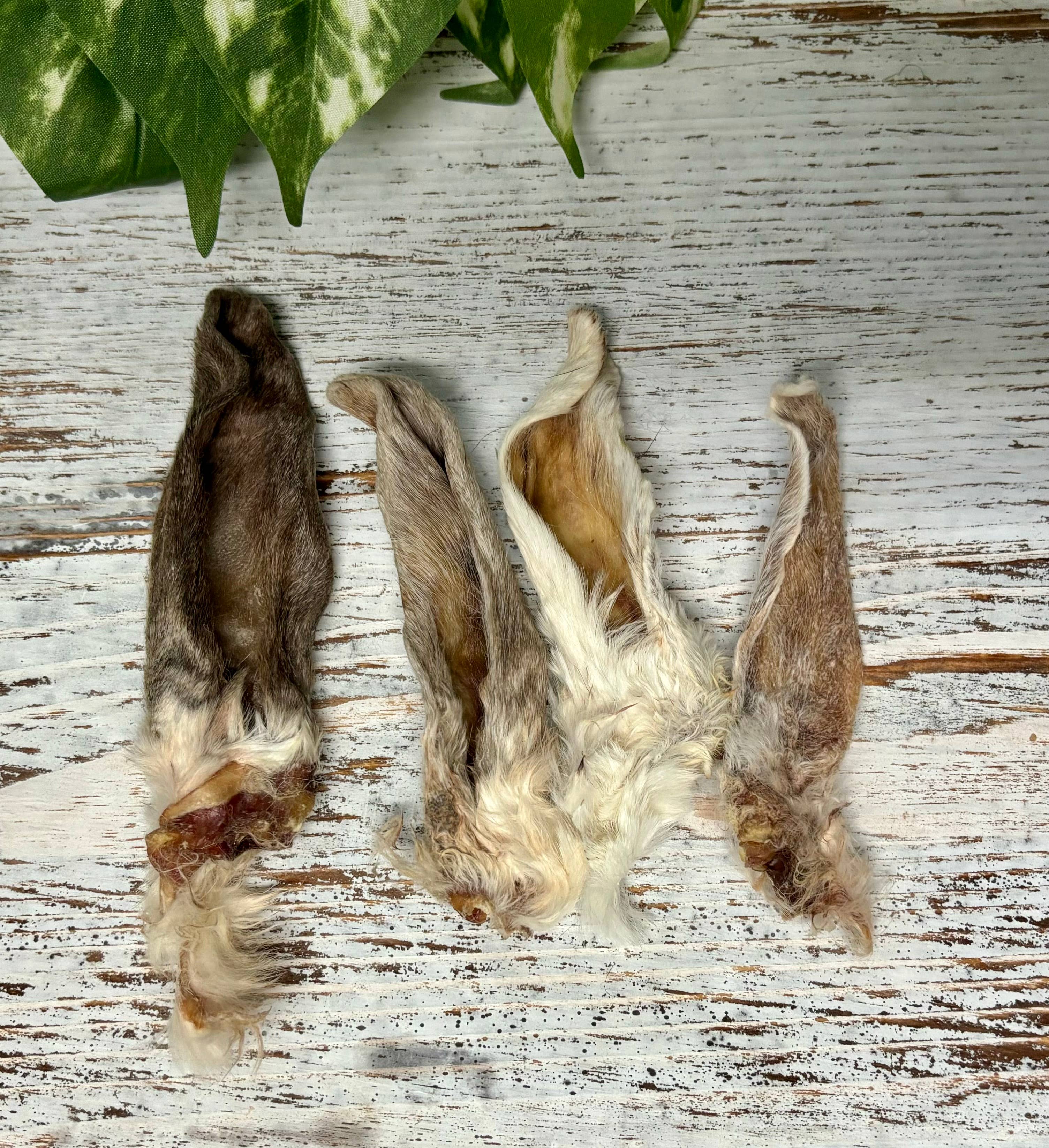 Rocky&Stella’s Treats - Wholesale Pet Treats - Dog - BULK RABBIT EARS 1