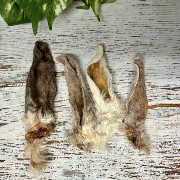 Rocky&Stella’s Treats - Wholesale Hondenkoekjes - Hond - BULK KONIJNENOREN1