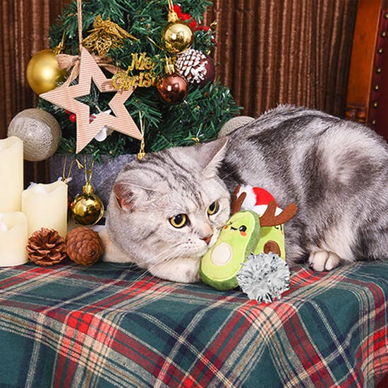 Hugsmart Products Inc - Wholesale Pet Toy Set - Cat - HugSmart Pet - Holiday Feline  | Avocado Christmas - Cat Toy3