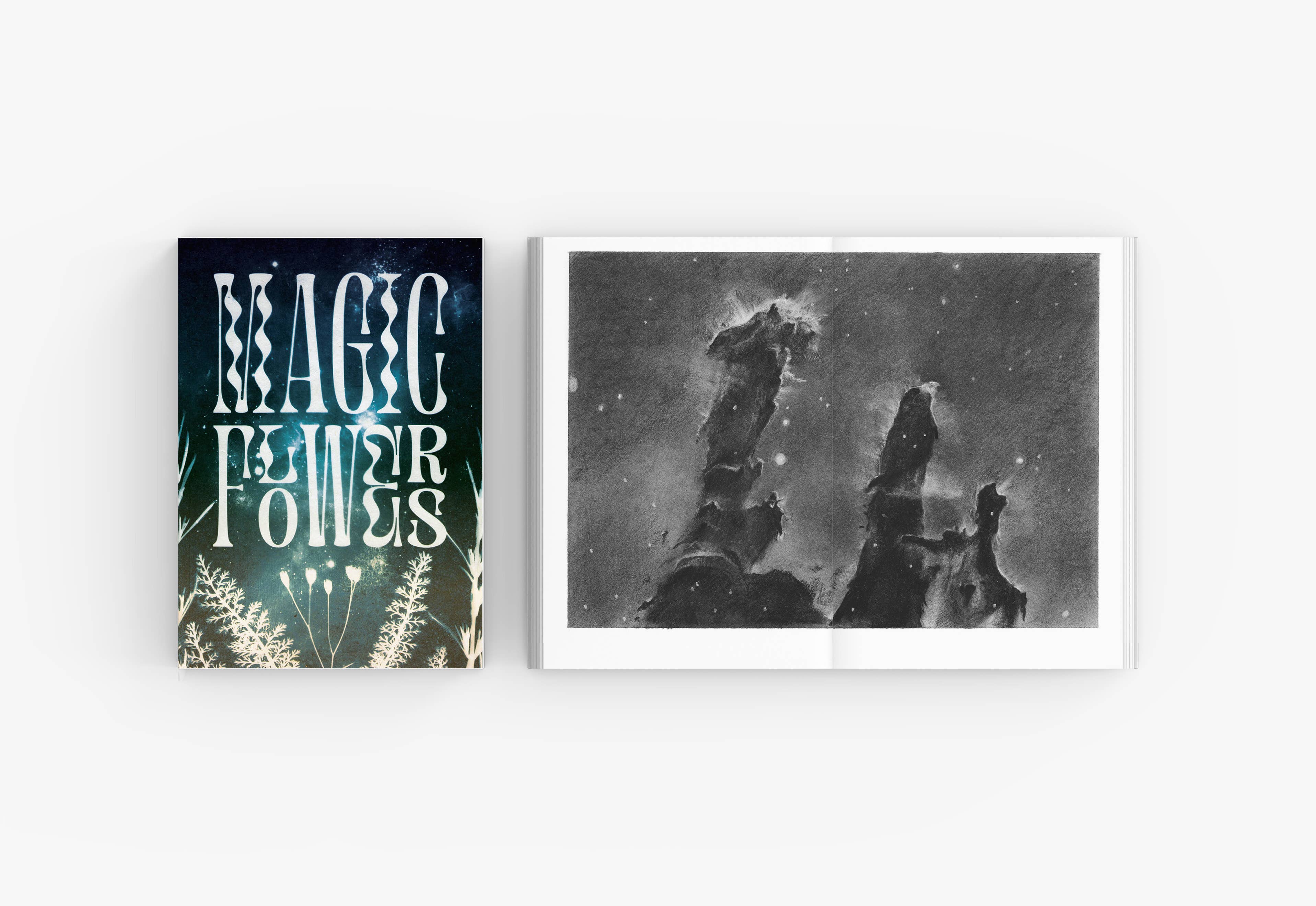 Velvetback - Wholesale Body, Mind & Spirit - Magic Flowers - Softcover Full Color Book and Bookmark5