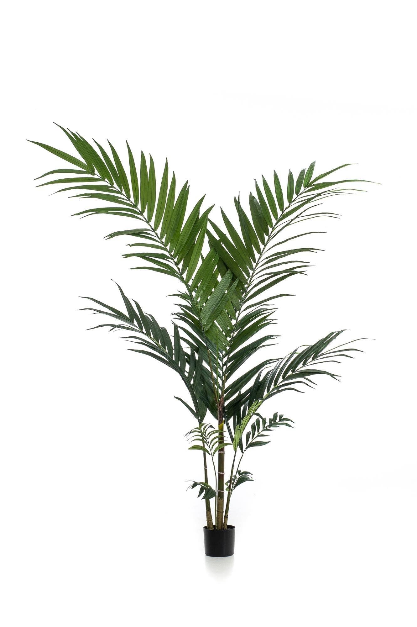 Oasis of Life - Wholesale Artificial plant - Artificial Kentia Palm – 150cm – Tropical Artificial Palm with Large Fronds – Deceptively Realistic & Maintenance-Free – Decorative Artificial Tree for Home & Office