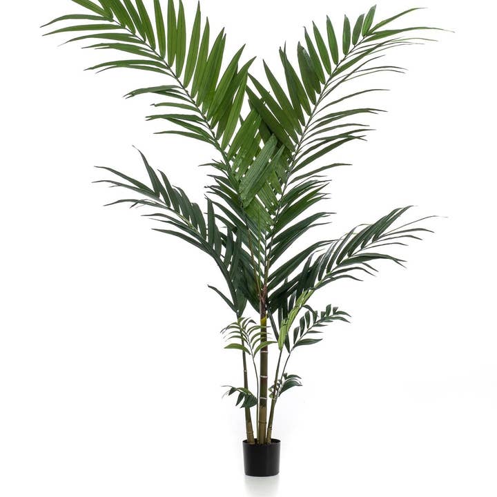 Oasis of Life - Wholesale Artificial plant - Artificial Kentia Palm – 150cm – Tropical Artificial Palm with Large Fronds – Deceptively Realistic & Maintenance-Free – Decorative Artificial Tree for Home & Office0