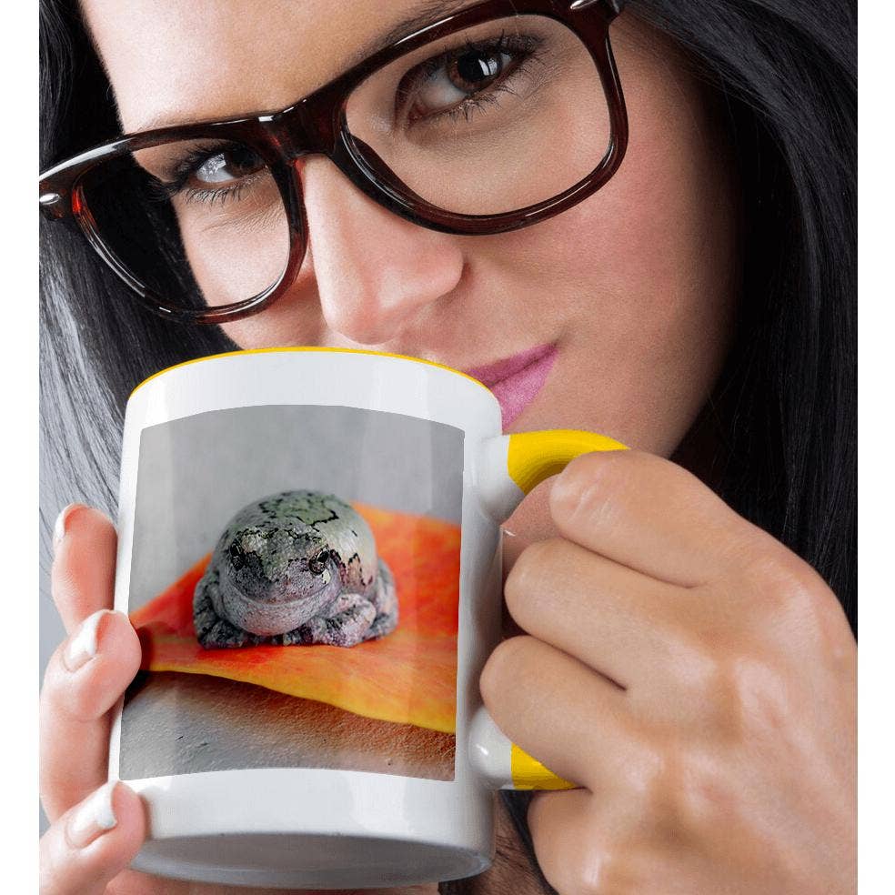 3dRose - Wholesale Coffee Mug - 3dRose, A macro photograph of a gray treefrog on an orange leaf., Mug1