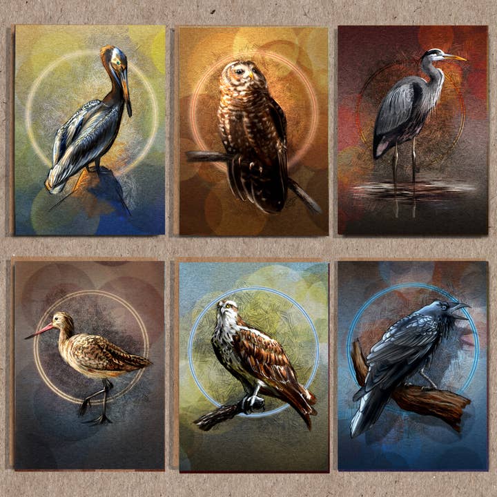Birds of the Redwood Coast Greeting Cards Boxed Set #2 for wholesale by Coreyartus Imagery