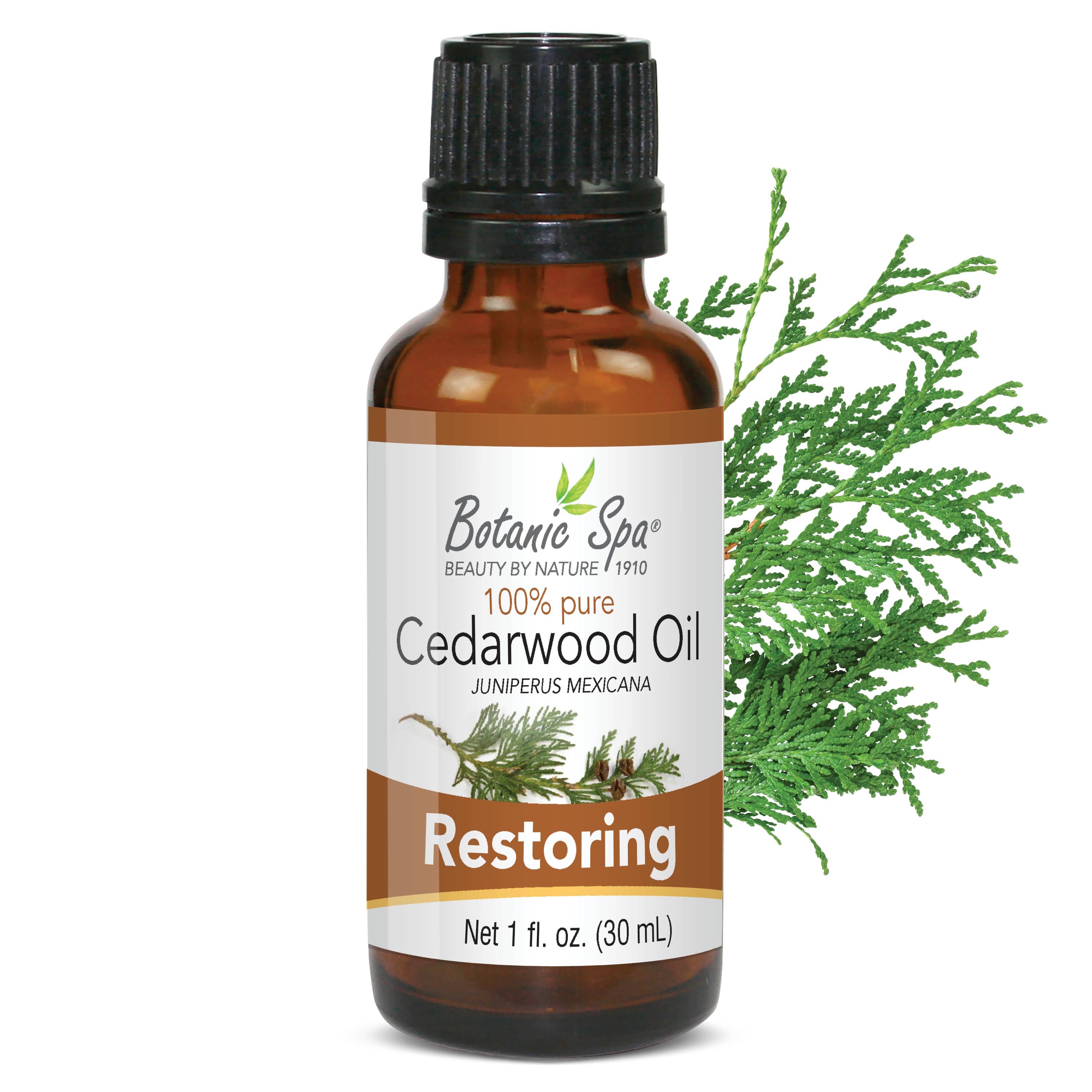 Botanic Choice - Wholesale Essential Oil - Botanic Spa Cedarwood Essential Oil - 1 oz0