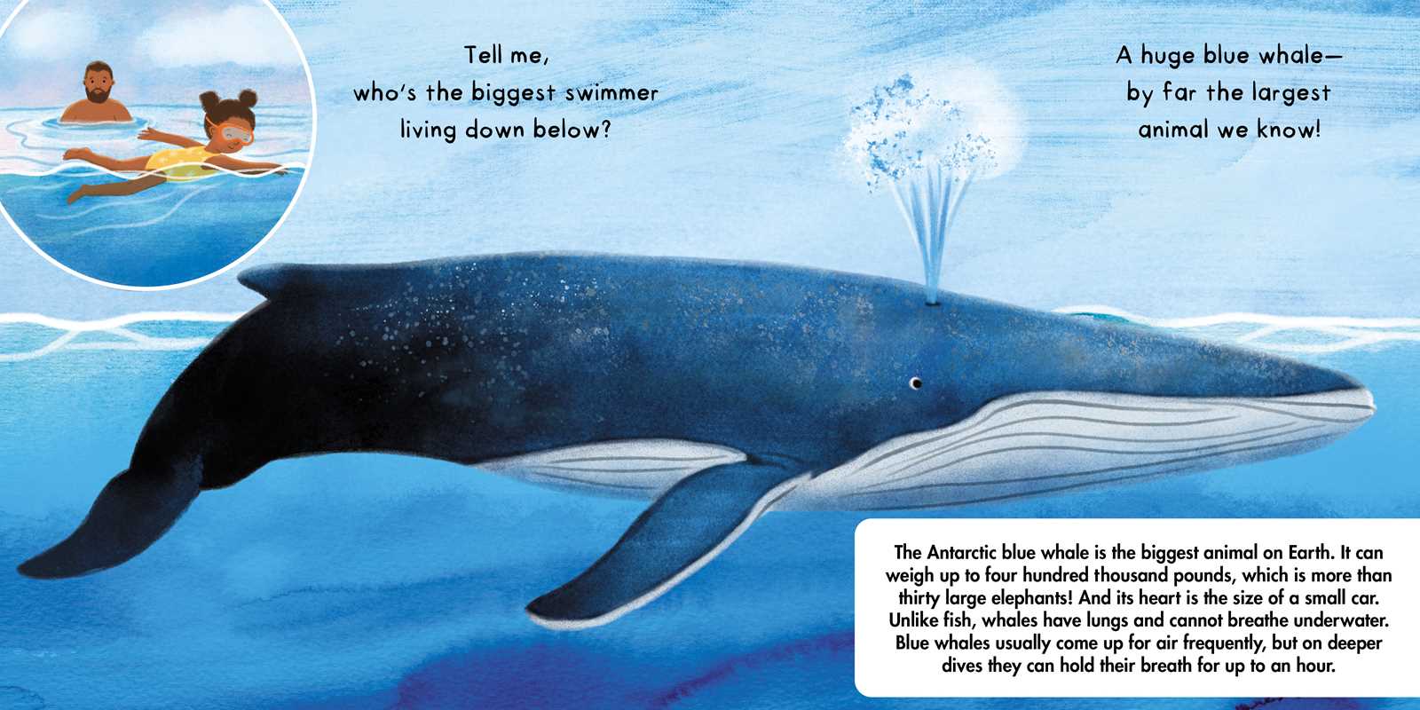 Simon & Schuster - Wholesale Nature & Outdoors - Tell Me About Oceans by Lisa Varchol Perron6