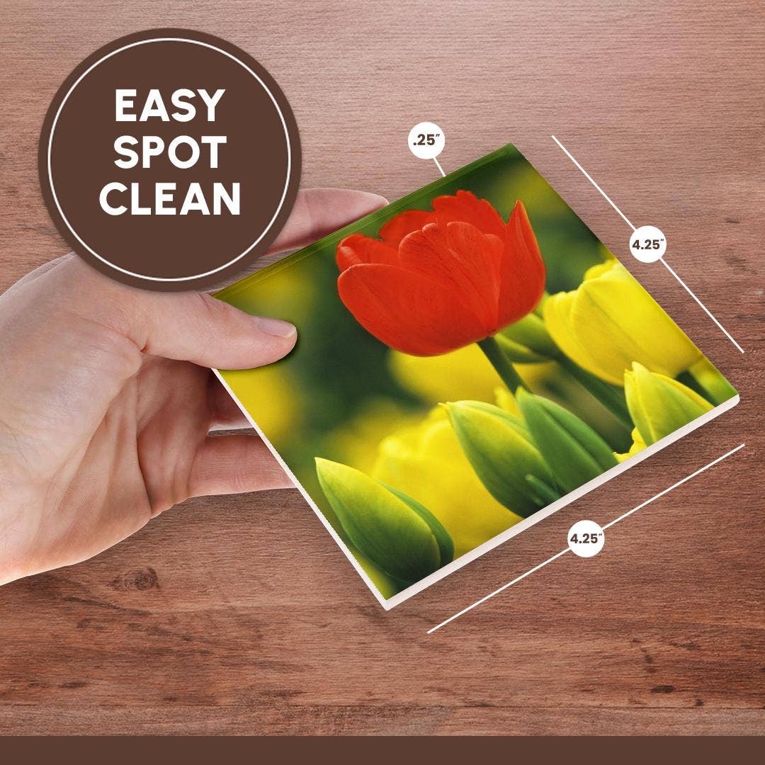 3dRose – wholesale Underlägg – 3dRose, Holland, Keukenhof Gardens. Tulpaner i blomsterträdgård., Glasunderlägg6