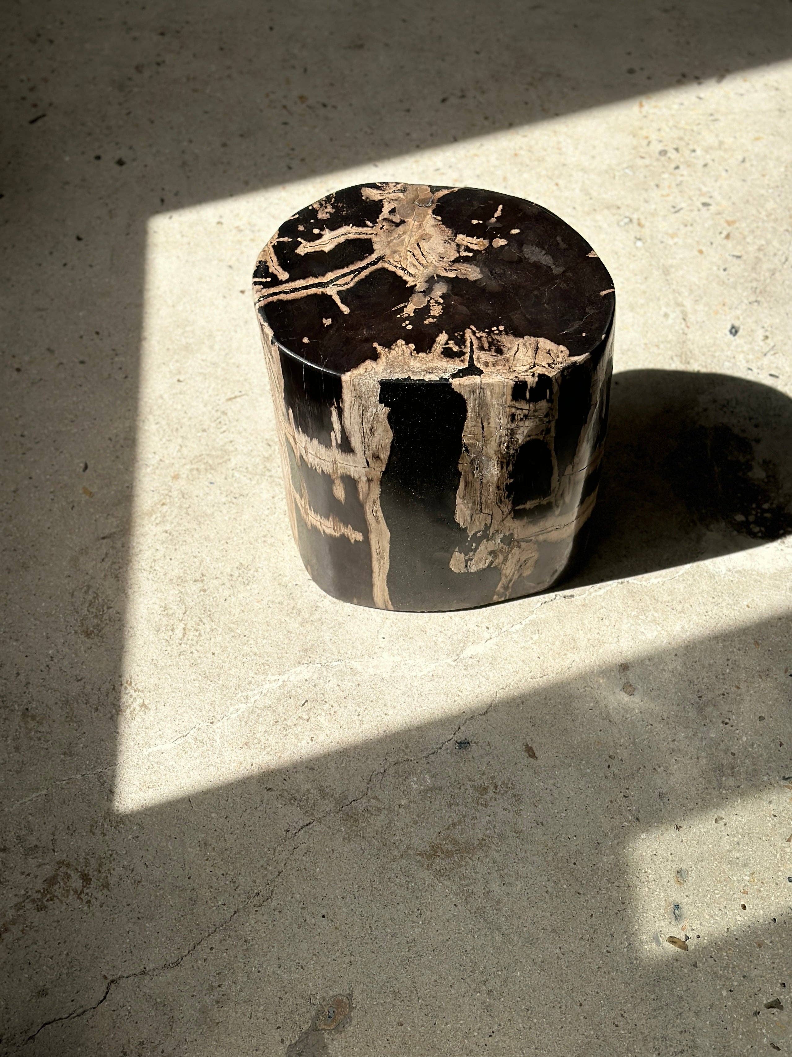 Office Objets - Vente Tables d'appoint - Table d'appoint en bois pétrifié45