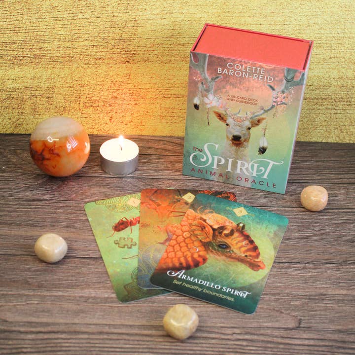 Green Tree - Wholesale Tarot Cards - The Spirit Animal Oracle Tarot Cards2