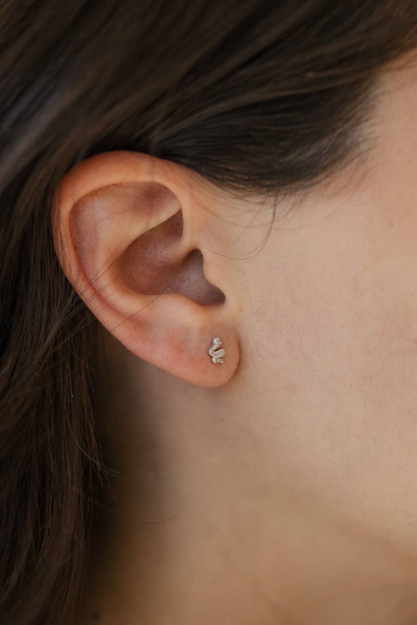 The Land of Salt – Großhandel Ohrstecker – Snake-Ohrstecker aus Silber2