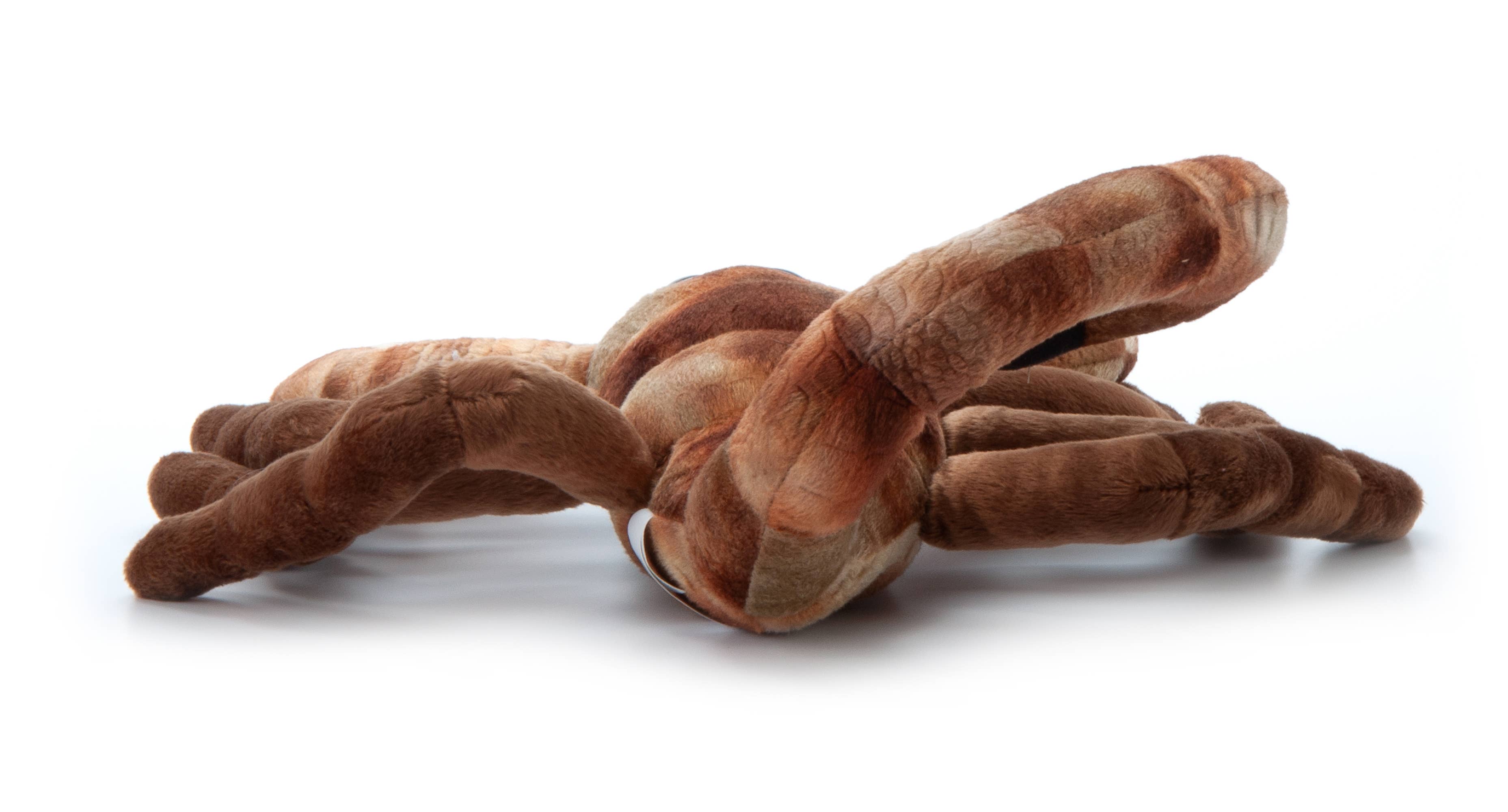 The Petting Zoo – wholesale Stuffed/plush toy – Kids & baby – 12" (30cm) Wild Onez Scorpion Halloween Plush 3