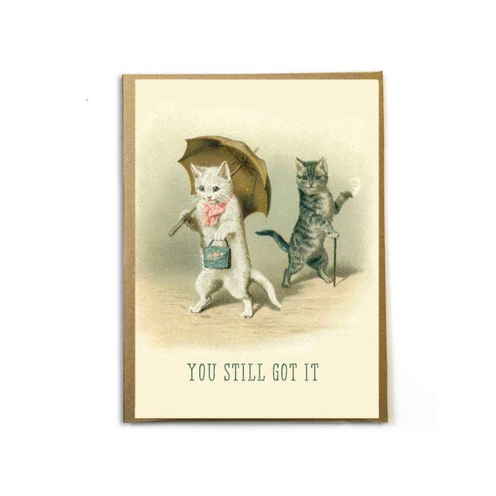A Zillion Dollars - Venta al por mayor Tarjetas de cumpleaños - You Still Got It; divertida tarjeta de gato; tarjeta divertida para ella; Birthd1