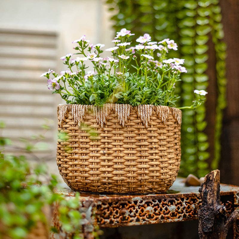 Rustic Reach - Vente Pot - Jardinière en ciment Lady Straw Basket4