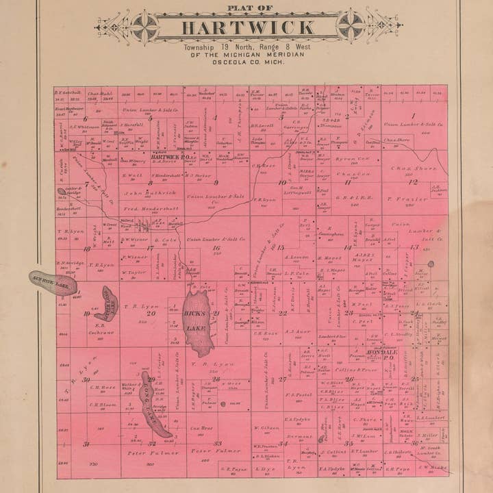 Relic Map Co. - Wholesale Map - Hartwick from Plat Book of Osceola County, Michigan 1900