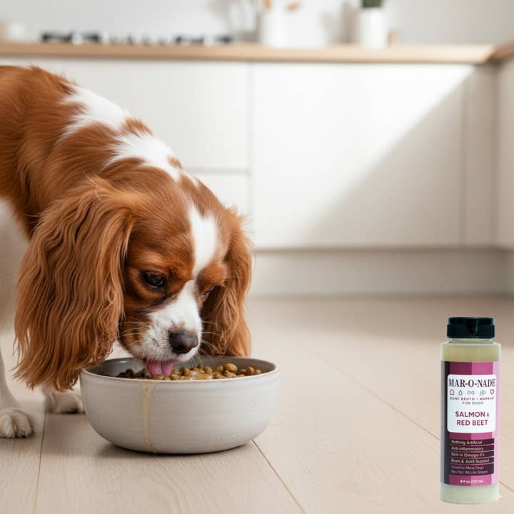 Mar-O-Nade - Wholesale Pet Food - Dog - Salmon & Red Beet Bone Broth + Marrow for Dogs3