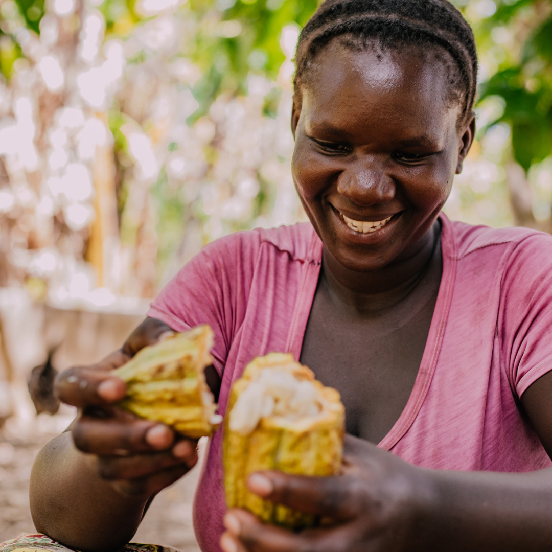 Moruga Cacao - Wholesale Hot Cocoa Mix/Kit - Udzungwa Tanzania 🇹🇿 - BIO3