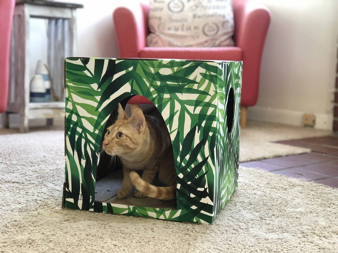 Cat Box Classics - Wholesale Pet Scratcher - Cat - Kitty Jungle Cardboard Cat House with Scratcher8