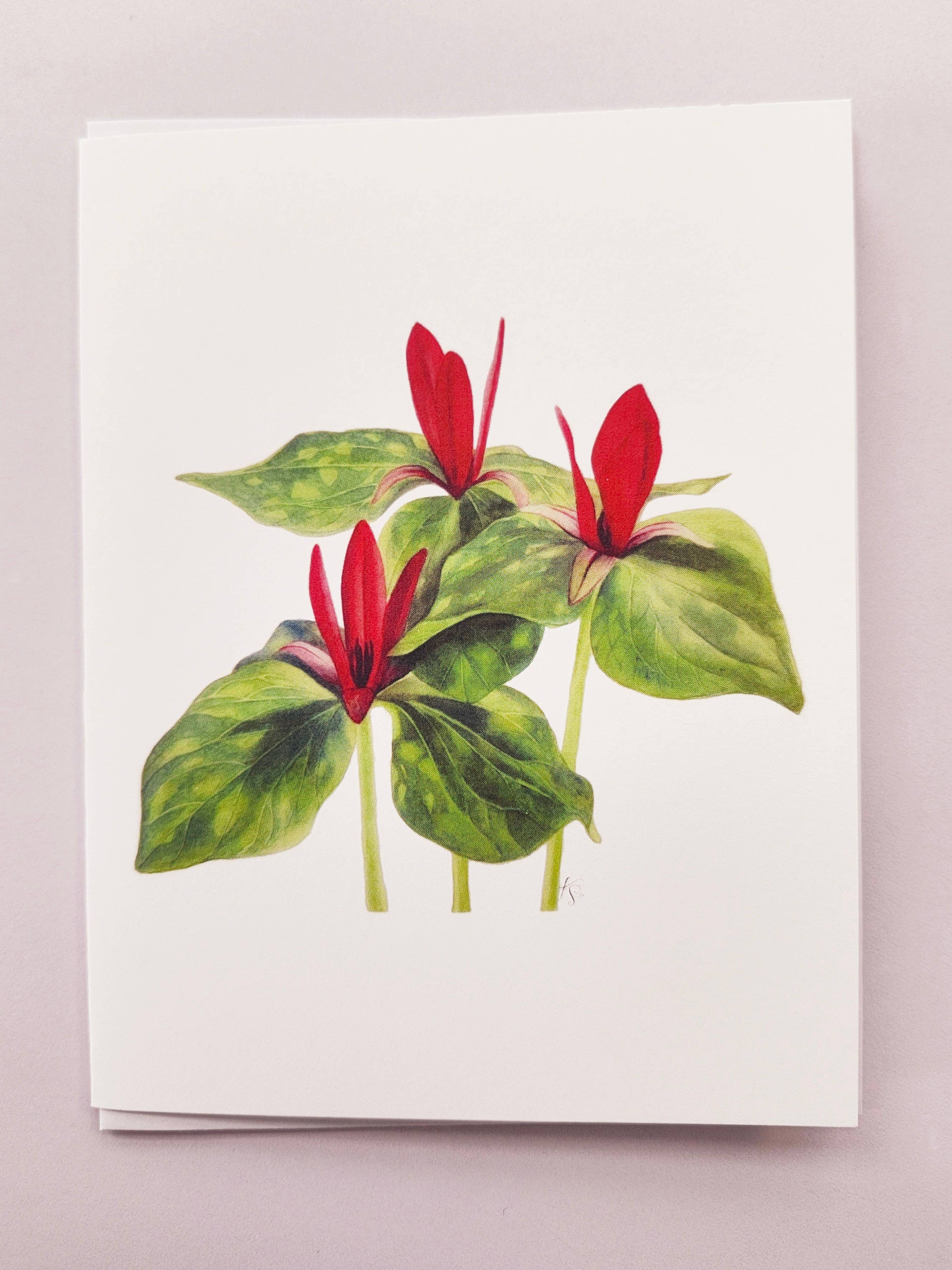 Redbriar Studio - Wholesale Stationery/Notecard Set - Notecards8