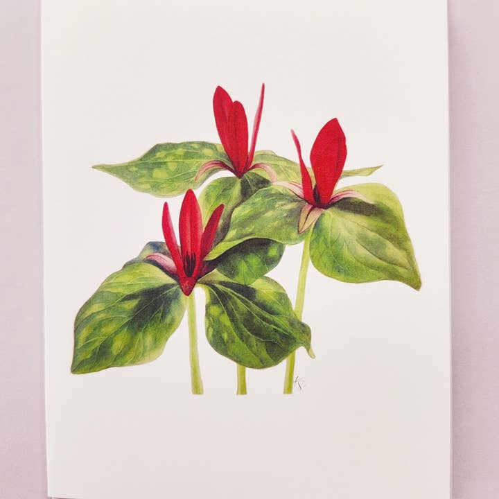 Redbriar Studio - Wholesale Stationery/Notecard Set - Notecards8