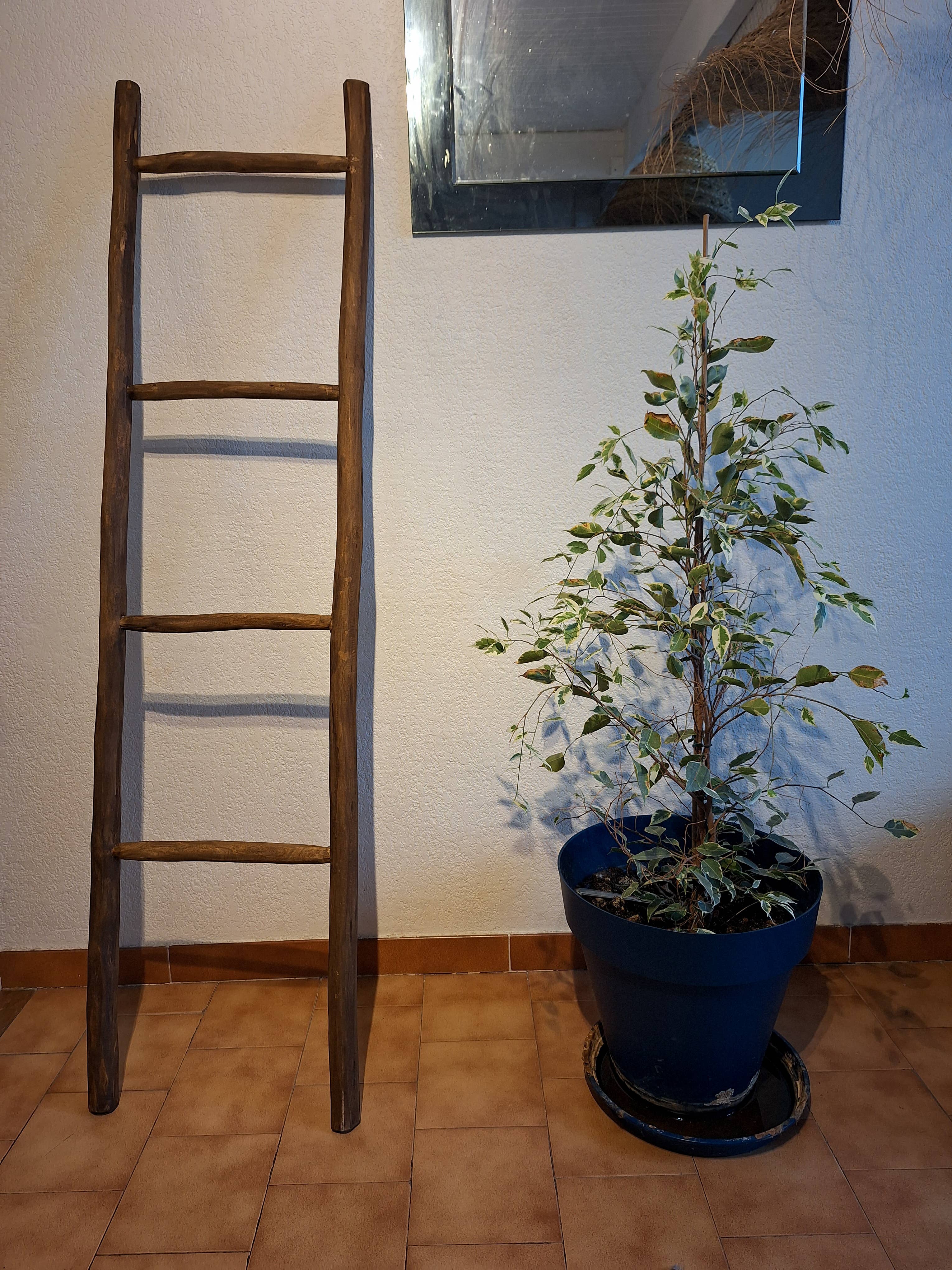 LeBazare - Wholesale Free Standing Shelf - Dark Wood Wall Shelf – Bohemian Spirit1