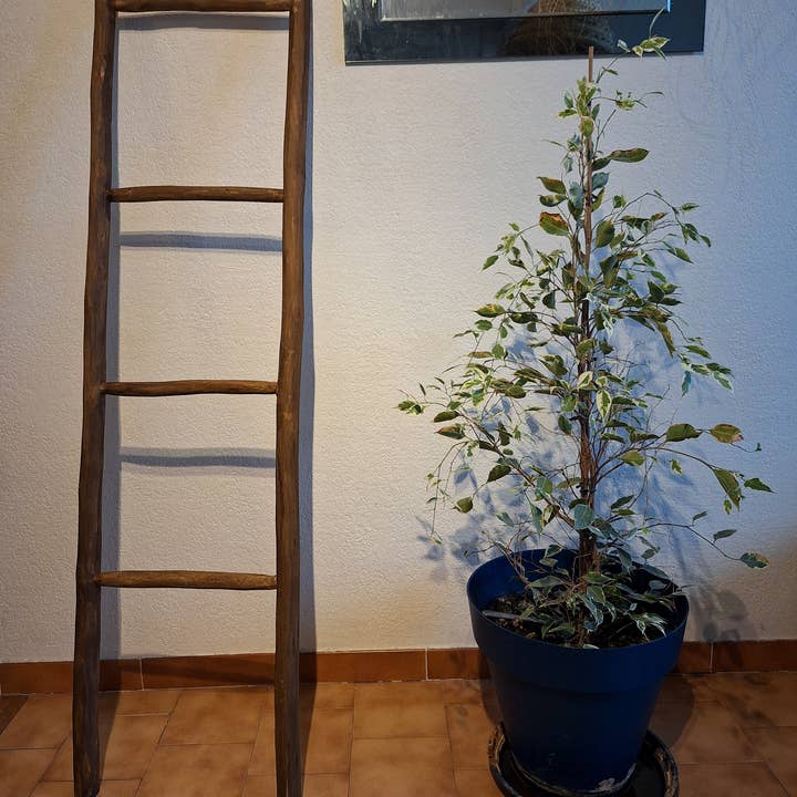 LeBazare – Engroshandel Fritstående hylde – Mørkt træ væghylde – Bohemeånd1