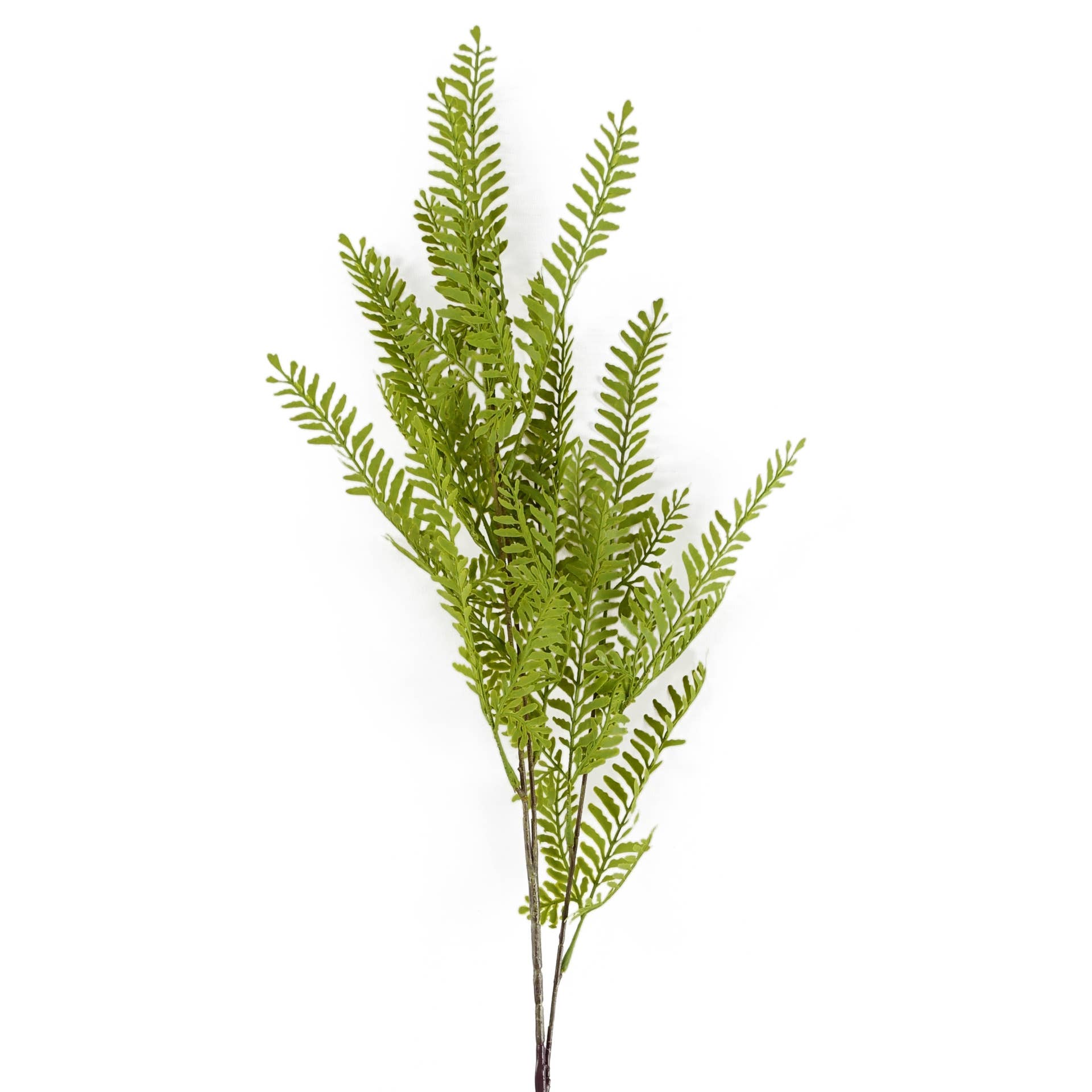 Leaf Design UK LTD – wholesale Artificial plant – Artificial Foliage Himilayan Maidenhair Fern Stem 95cm0