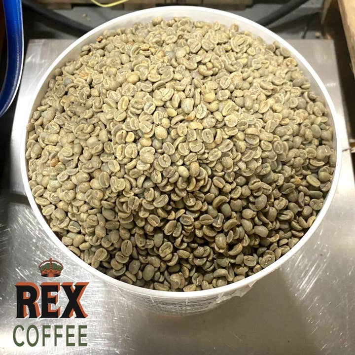 REX Coffee - Vendita all'ingrosso Caffè in grani - Caffè REX Sumatra Mandheling appena tostato in piccoli lotti