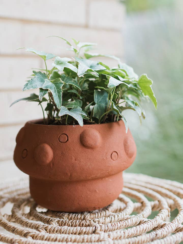 Rakshana Mushroom Plant Pot - Terracotta for wholesale by Matr Boomie Fair Trade