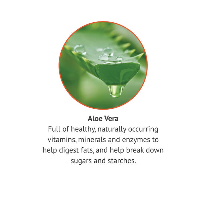 Botanic Choice - Wholesale Oral Supplement/Vitamin - Botanic Choice Aloe Vera 500 Mg - 90 Capsules3