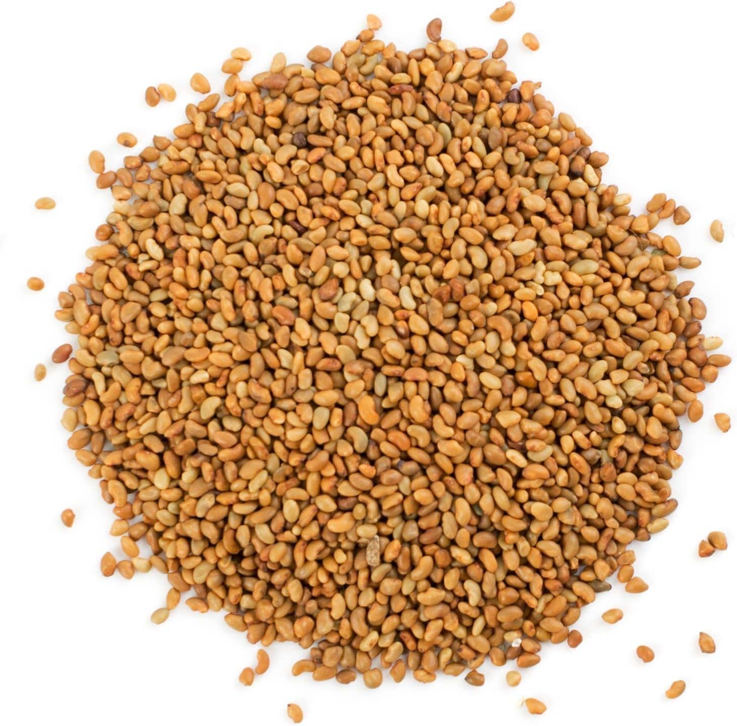 Food To Live - Wholesale Seeds/Kernels - Organic Alfalfa Sprouting Seeds — Non-GMO, Kosher, Raw1