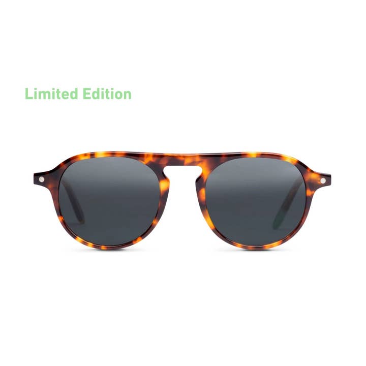 Occhiali da sole Zingaro in edizione limitata — Tortoise per la vendita all'ingrosso da parte di Otaaki
