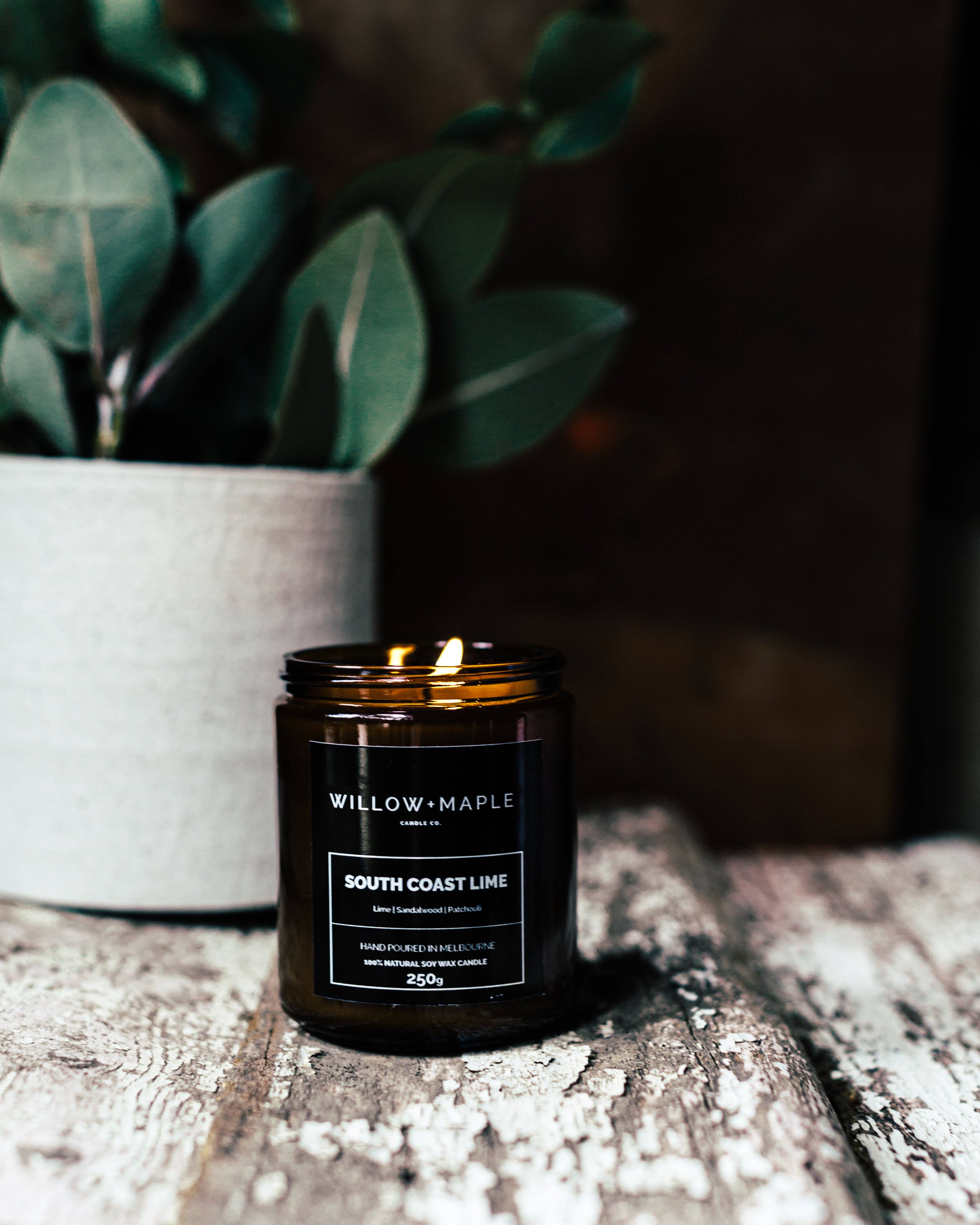 Willow + Maple - Wholesale Jar/filled candle - SOUTH COAST LIME1