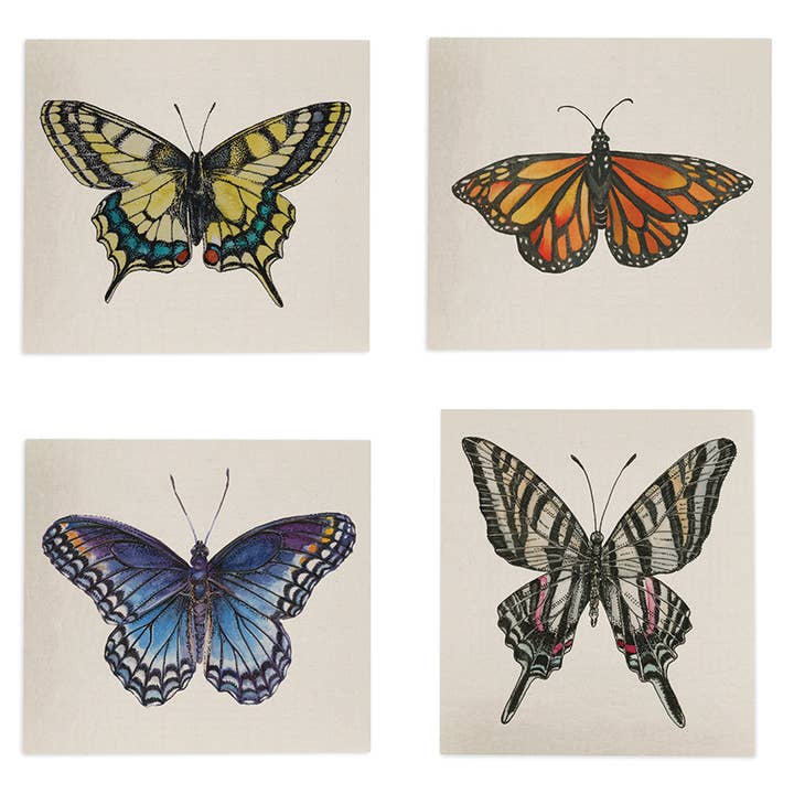 Pacchetto strofinacci svedesi con farfalle nordamericane per la vendita all'ingrosso da parte di Sarah Rose