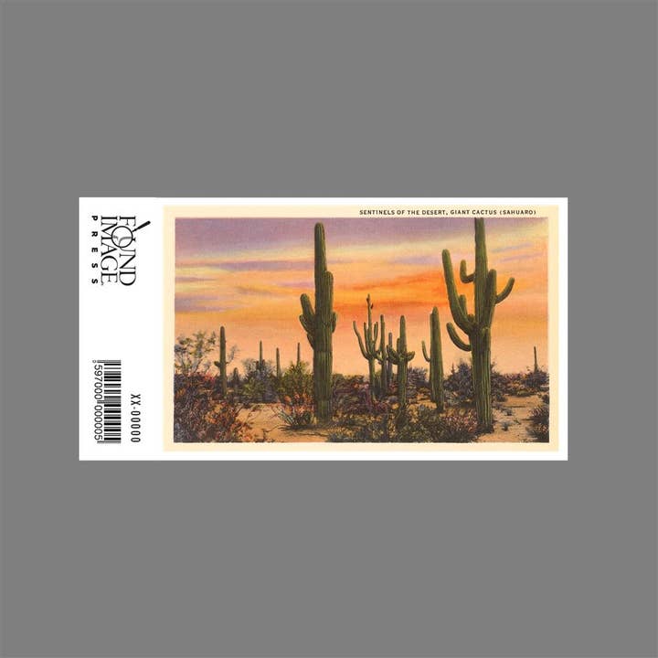 Found Image Press - Wholesale Sticker - Sticker SW-36 Saguaro Cacti1