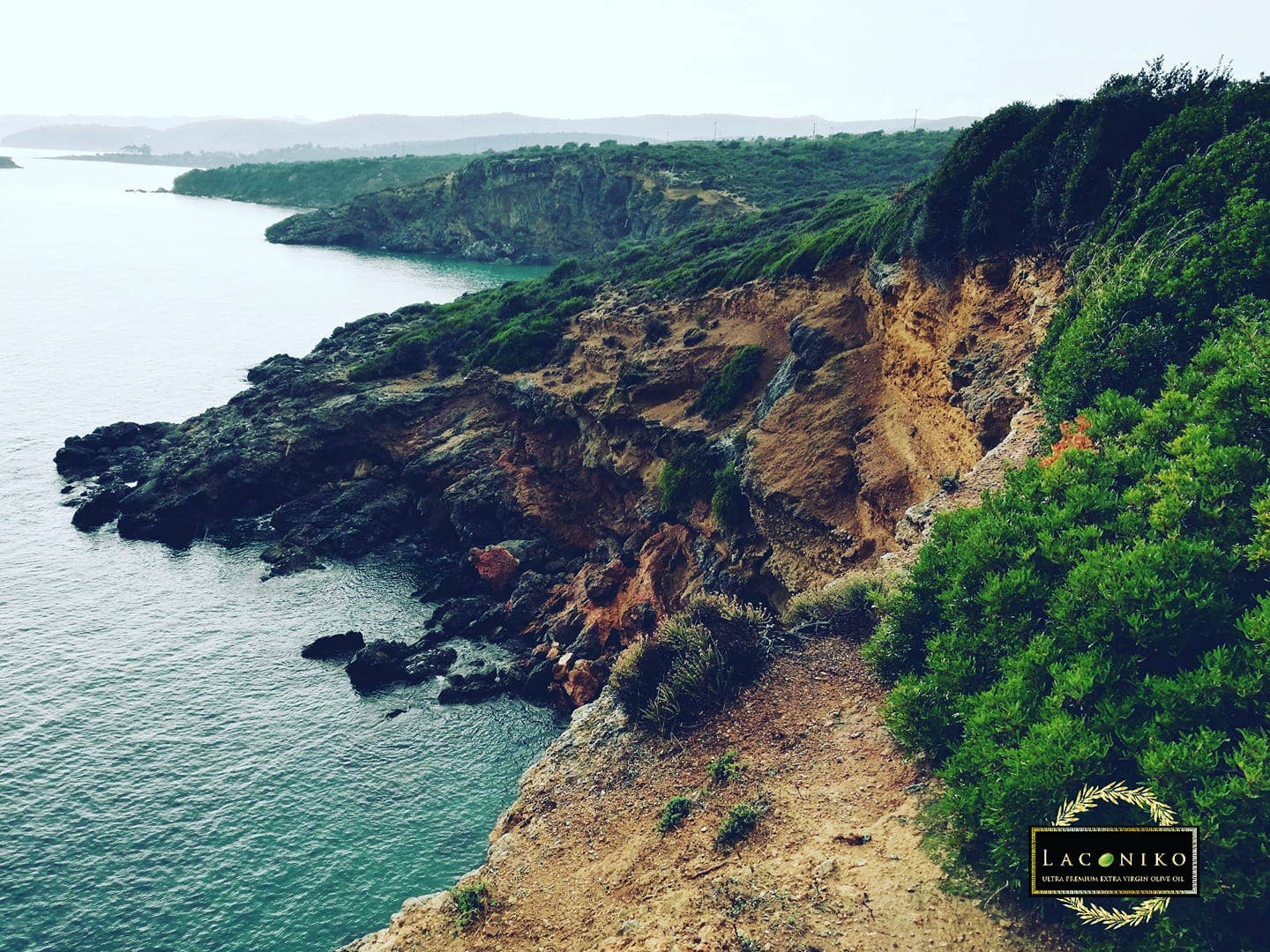 Laconiko - Wholesale Olive Oil - Laconiko Estate Ultra Premium 100% Extra Virgin Olive Oil7