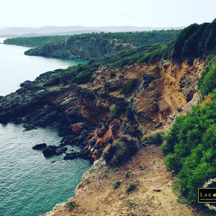 Laconiko - Wholesale Olive oil - Laconiko 500 ml Ultra Premium 100% Extra Virgin Olive Oil7