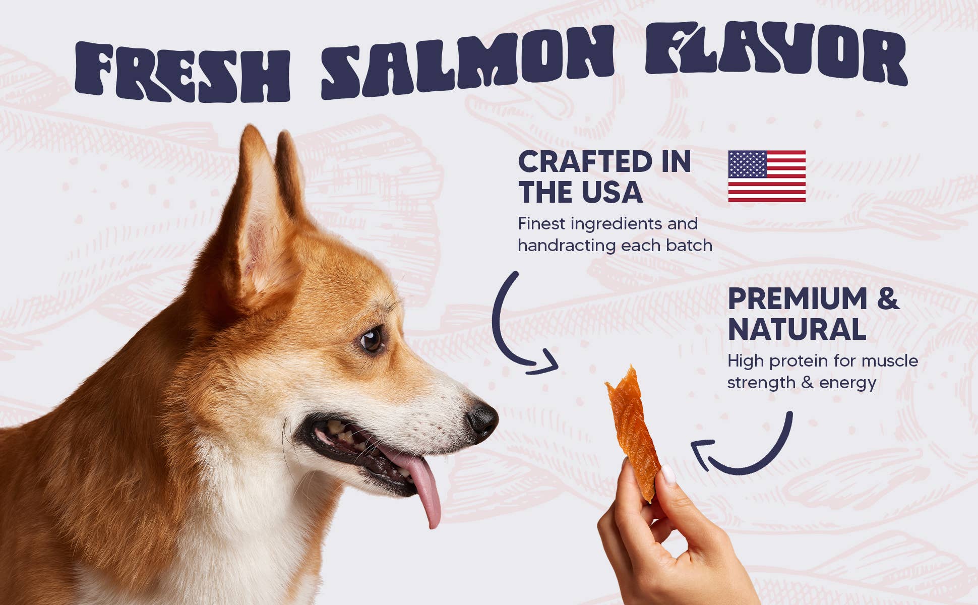 It's Just Salmon - Wholesale Pet Treats - Dog - It's Just Salmon Gourmet Dog Treats, 100% Natural, 10 oz.7