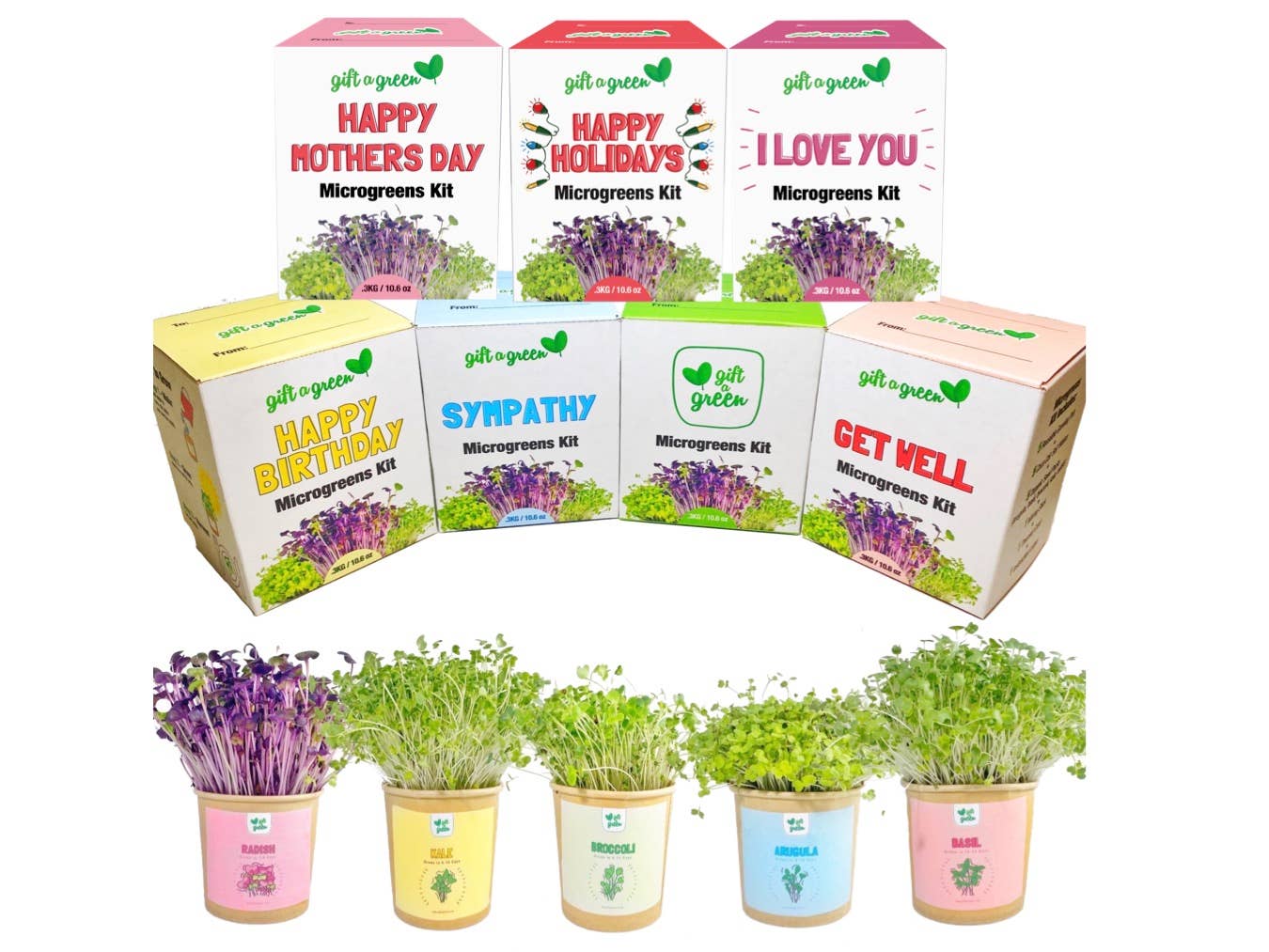 giftagreen - Wholesale Plant Seeds - Gift Box - All Occasion9