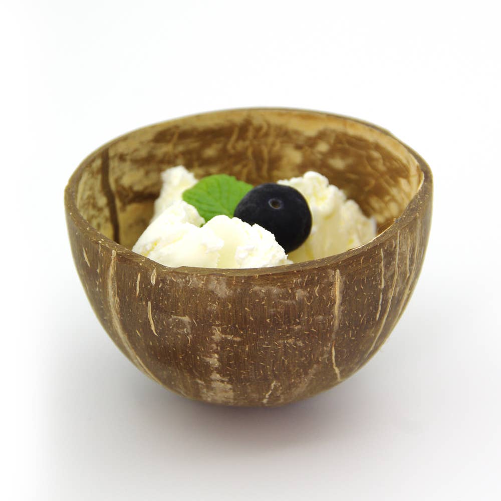 Enjoy la Vida - Wholesale Bowl - Small Coconut bowl | Petit Bol de Noix de Coco1