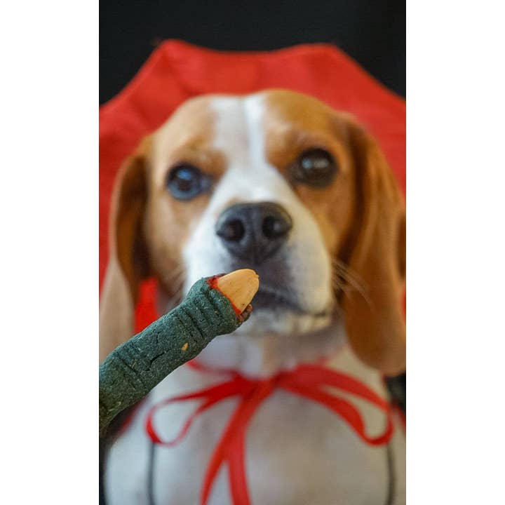 Belpharmed bv: Cooka's Cookies & Sensidog – Engroshandel Godbid - Hund – Halloween - Uhyggelig Boks10