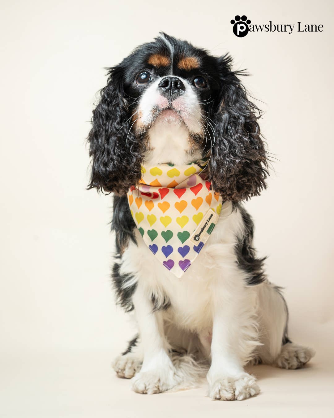 Pawsbury Lane – wholesale Pet bandana – Dog – Matching Pet and Owner: Headband and Bandana - Love in Color2