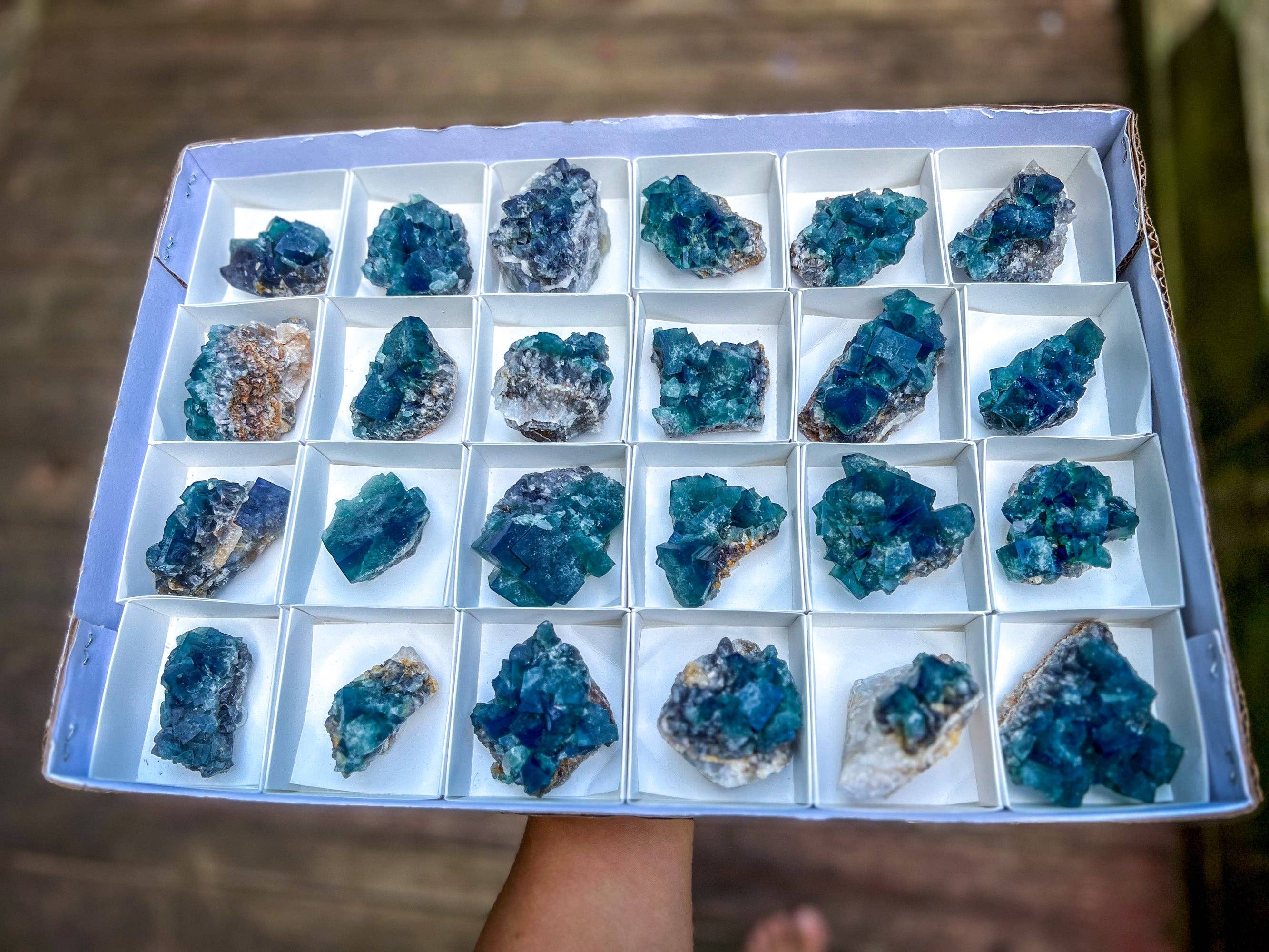 Mandala Gems - Wholesale Spirituele steen/kristal - Verborgen Boszak Fluorietclusters, Diana Maria Mijn, Daglicht Fluorescerende Fluoriet3