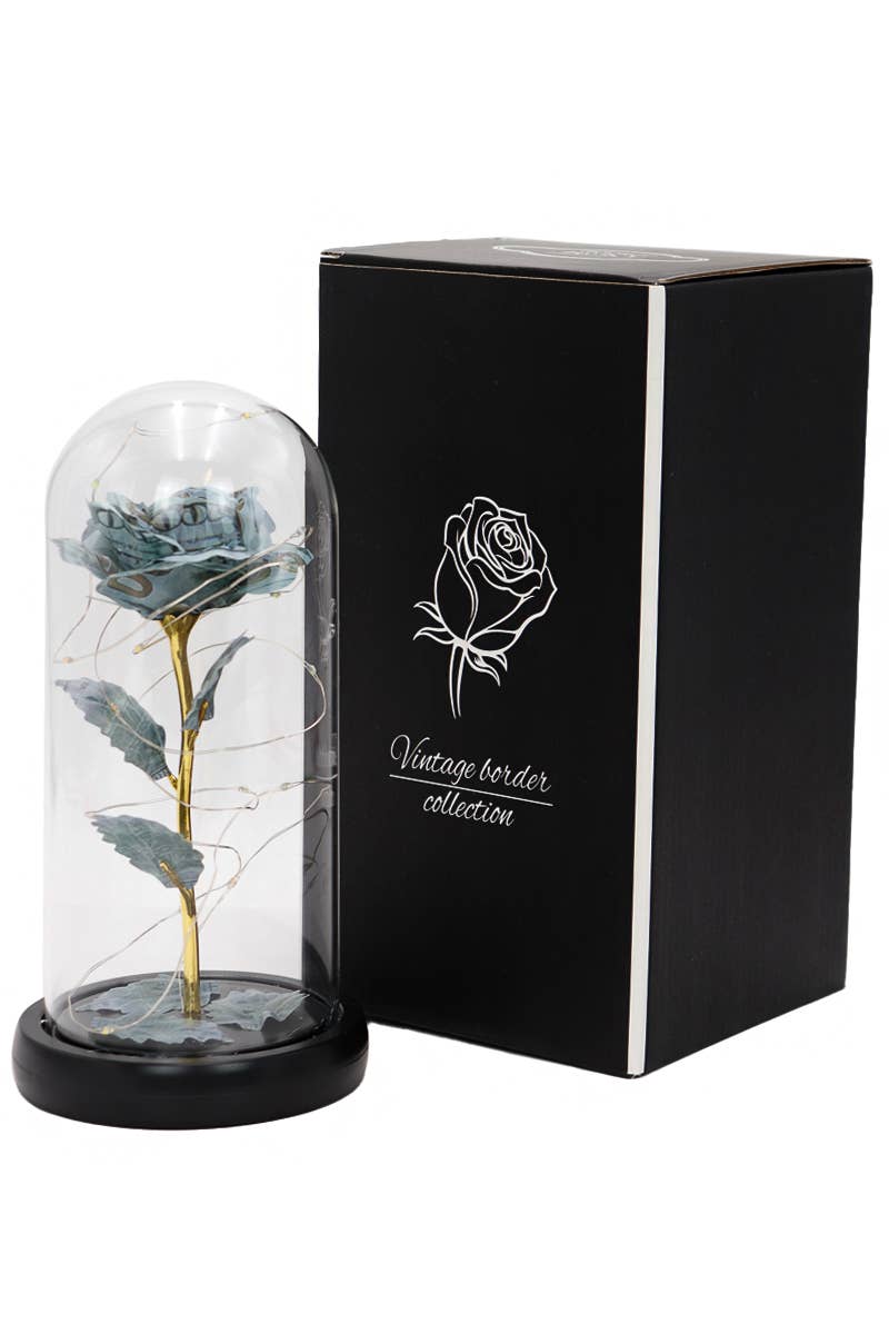  DOLLAR Money Rose Glass Dome Led Light Stand for wholesale on Faire3