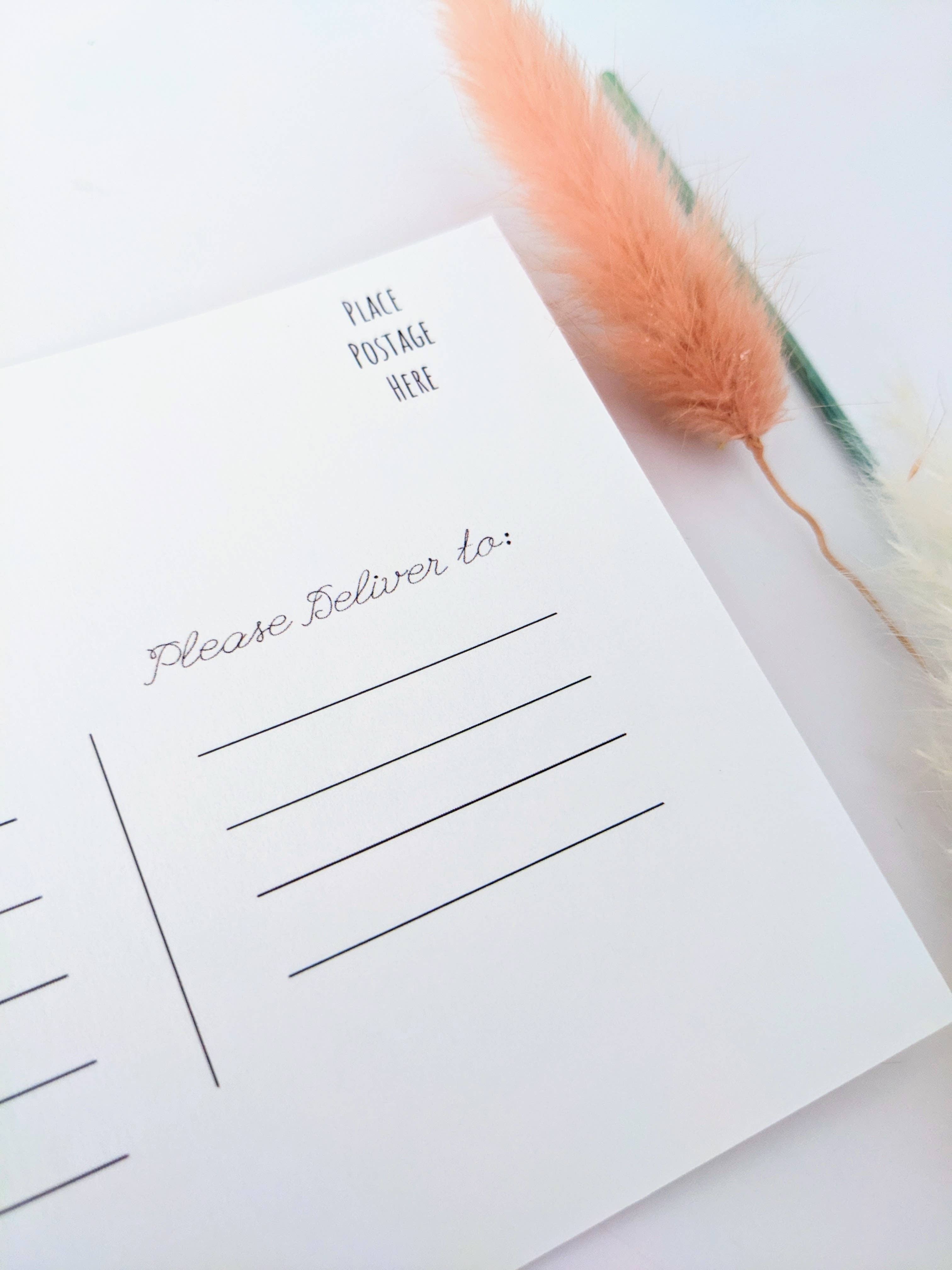 Mary Felker Art and Design - Wholesale Postcard - Desert Love Cactus Postcard, Cactus Card, Cactus Stationary6