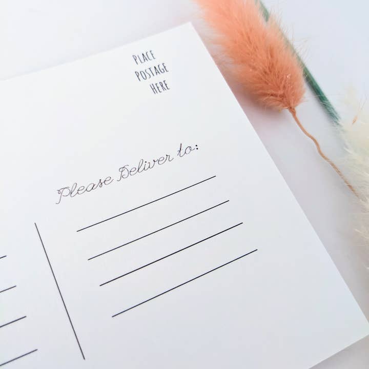 Mary Felker Art and Design - Wholesale Postcard - Desert Love Cactus Postcard, Cactus Card, Cactus Stationary6